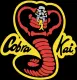 Figurines pop Cobra Kai – Séries