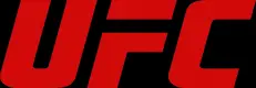 Figurines pop UFC: Ultimate Fighting Championship – Sport